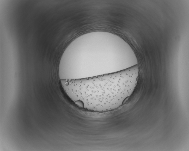 X0000111930044200908171245