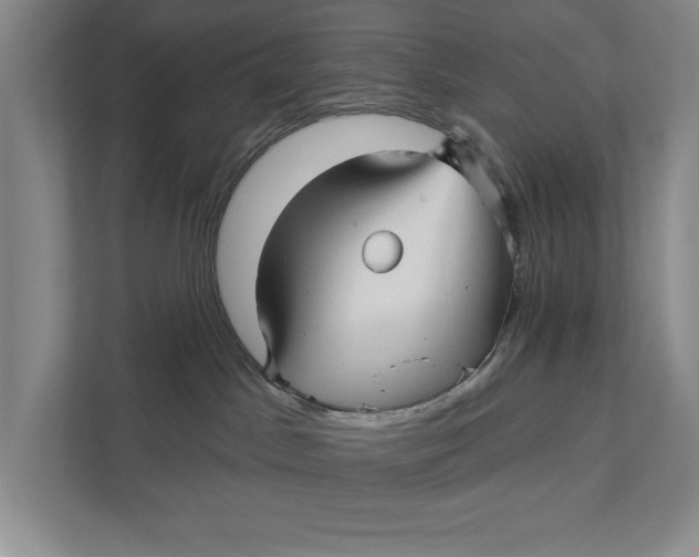 X0000111930045200908171245