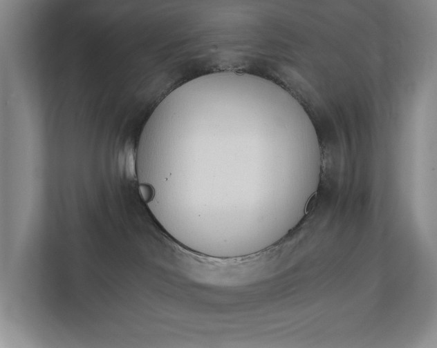 X0000111930046200908171245