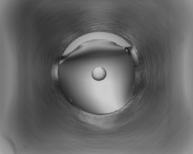 X0000111930047200908171245