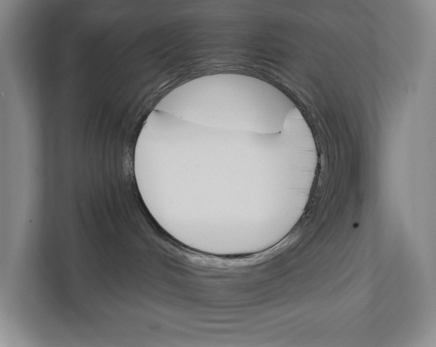 X0000111930048200908171245