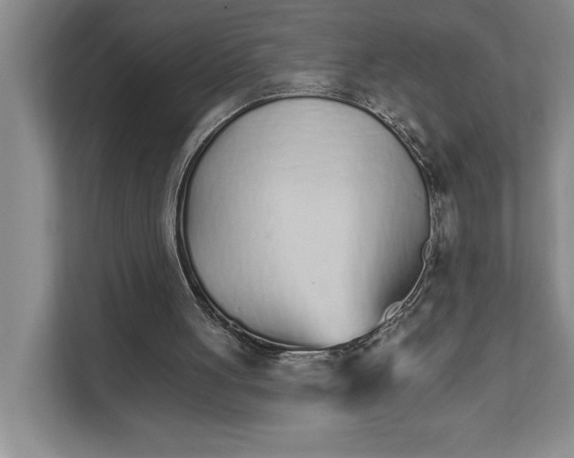 X0000111930051200908171245