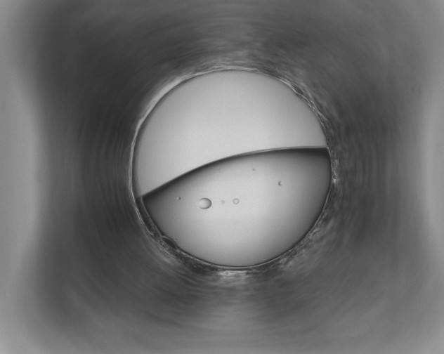 X0000111930052200908171245