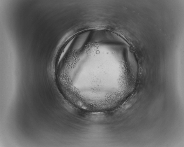 X0000111930053200908171245