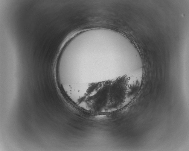 X0000111930054200908171245