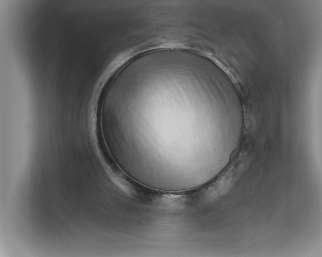 X0000111930055200908171245