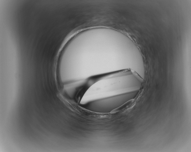 X0000111930056200908171245