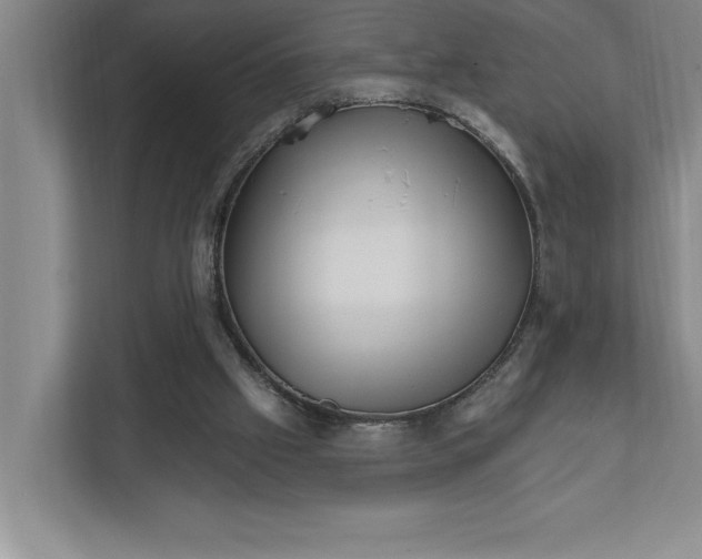 X0000111930057200908171245