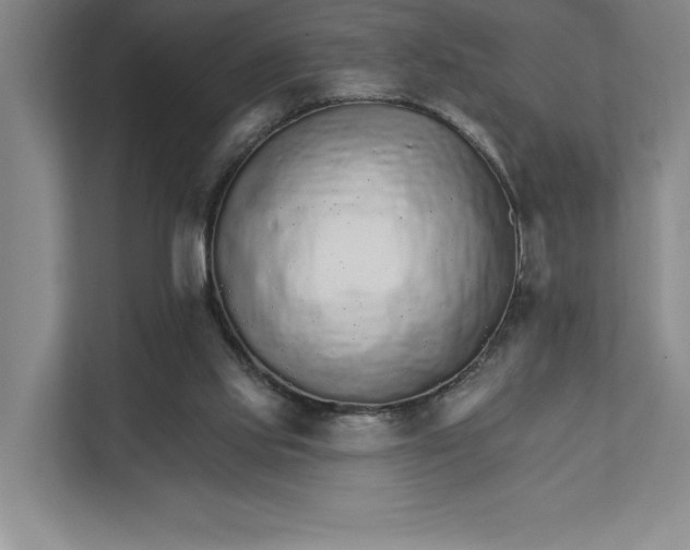 X0000111930061200908171245