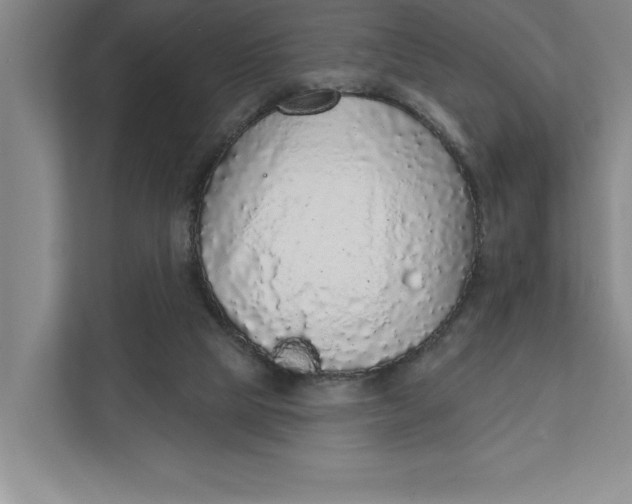 X0000111930065200908171245