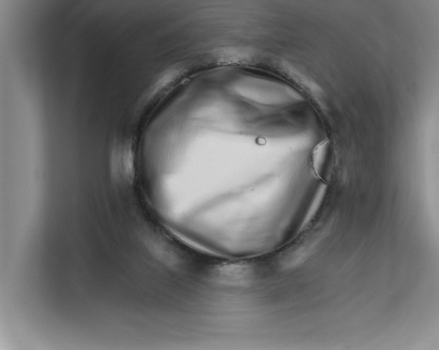 X0000111930067200908171245