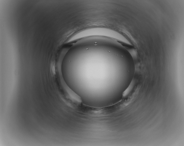 X0000111930068200908171245