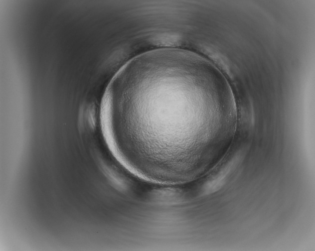 X0000111930069200908171245