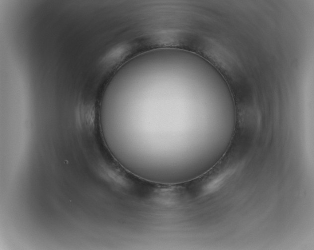 X0000111930072200908171245