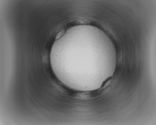 X0000111930078200908171245