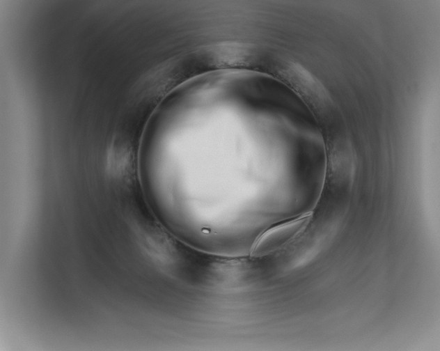 X0000111930079200908171245