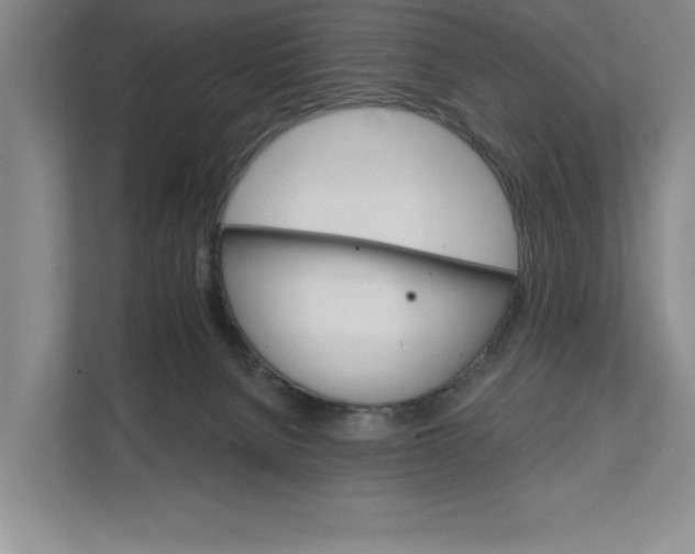 X0000111930080200908171245