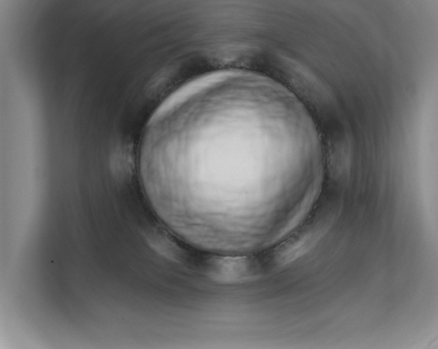 X0000111930085200908171245