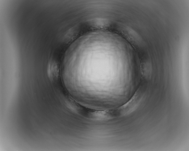 X0000111930086200908171245