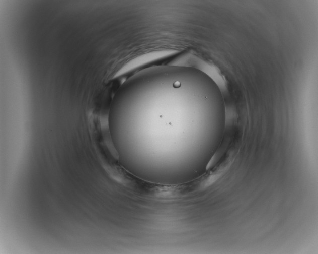 X0000111930088200908171245