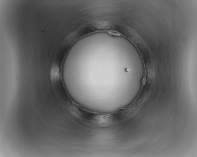 X0000111930089200908171245