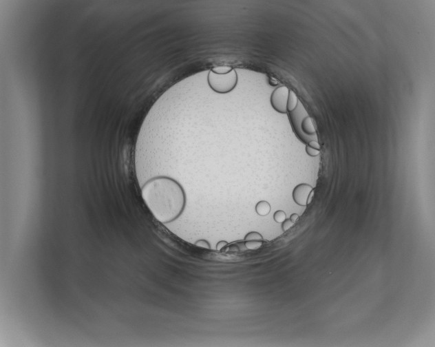 X0000111930093200908171245