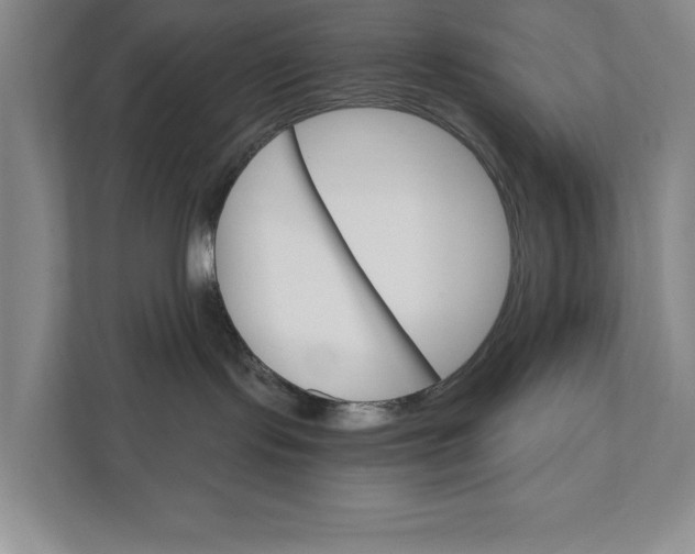 X0000111930095200908171245