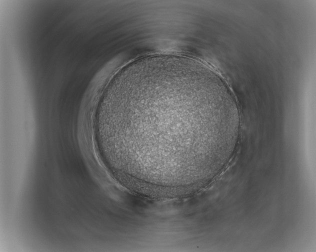 X0000111930097200908171245