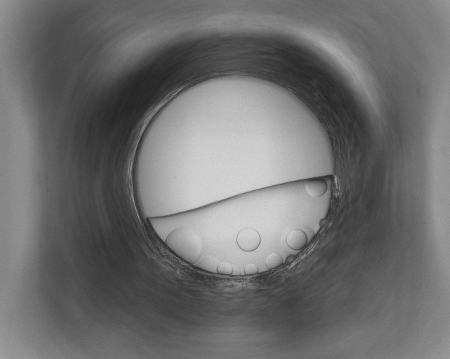 X0000111930099200908171245