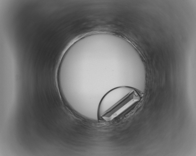 X0000111930100200908171245