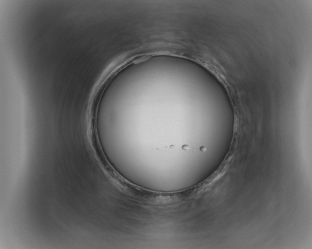 X0000111930101200908171245