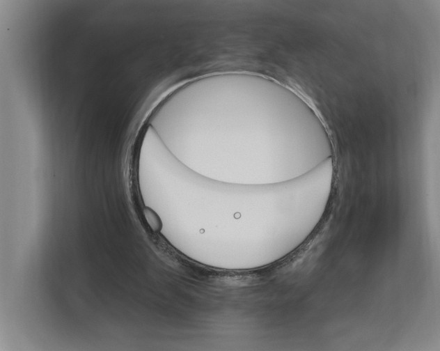 X0000111930103200908171245