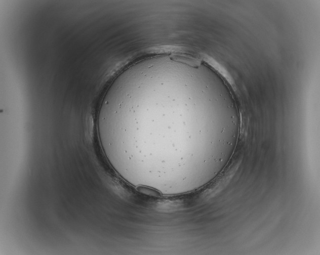 X0000111930109200908171245