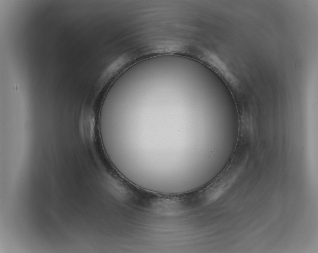 X0000111930110200908171245