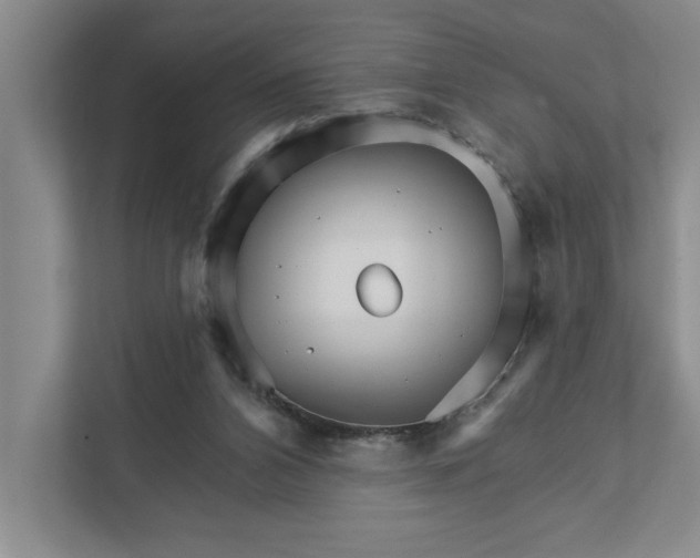 X0000111930112200908171245