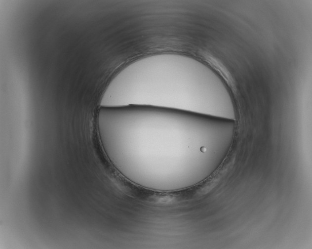 X0000111930113200908171244