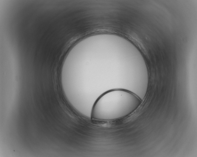 X0000111930116200908171244