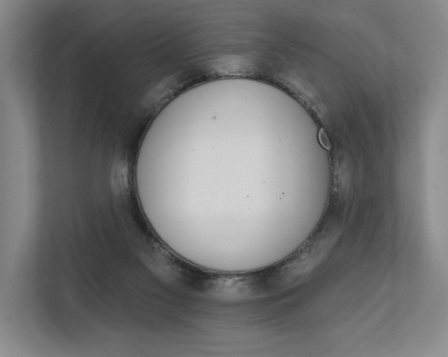 X0000111930117200908171244