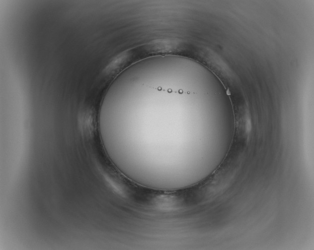 X0000111930119200908171244