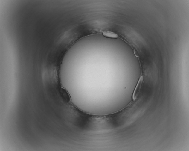 X0000111930121200908171244