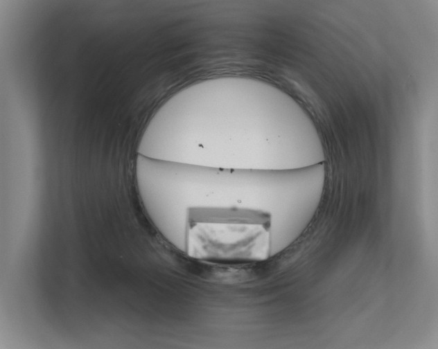 X0000111930125200908171244