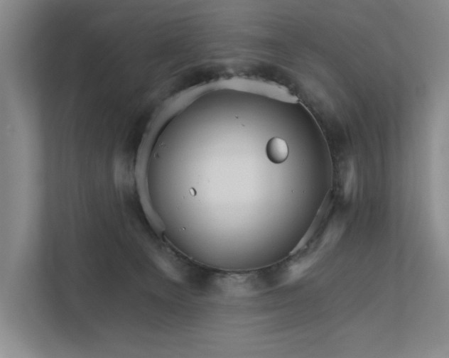 X0000111930129200908171244