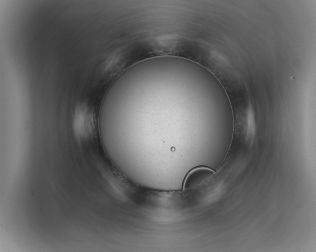 X0000111930130200908171244