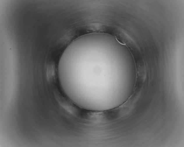 X0000111930132200908171244