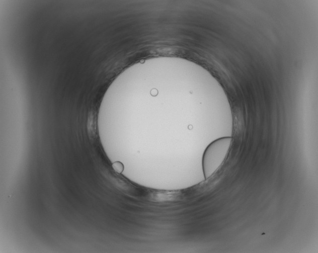 X0000111930134200908171244