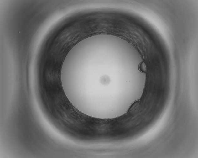 X0000111930142200908171244