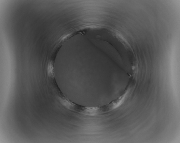 X0000111930143200908171244