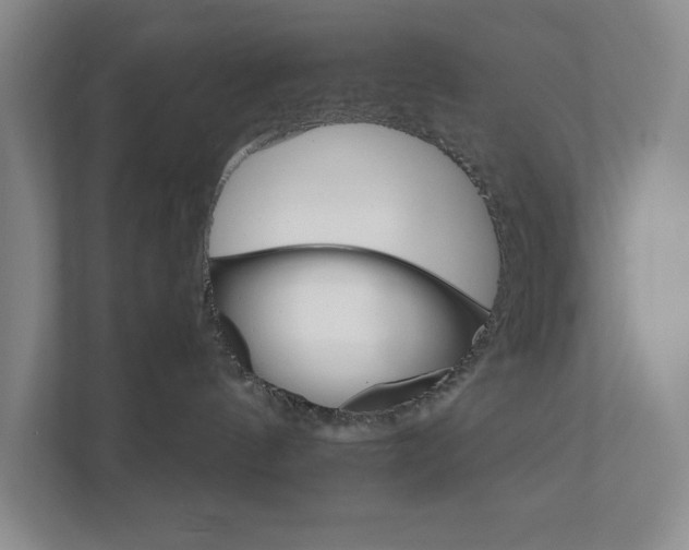 X0000111930144200908171244