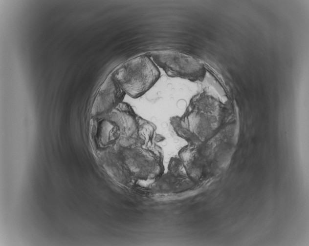 X0000111930145200908171243