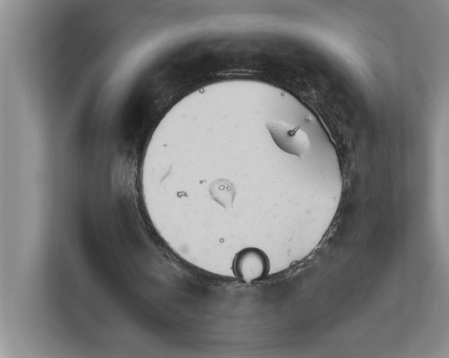 X0000111930146200908171243